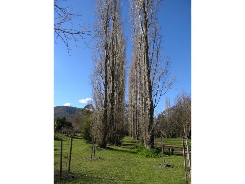 24-26 Showers Avenue, Bright VIC 3741