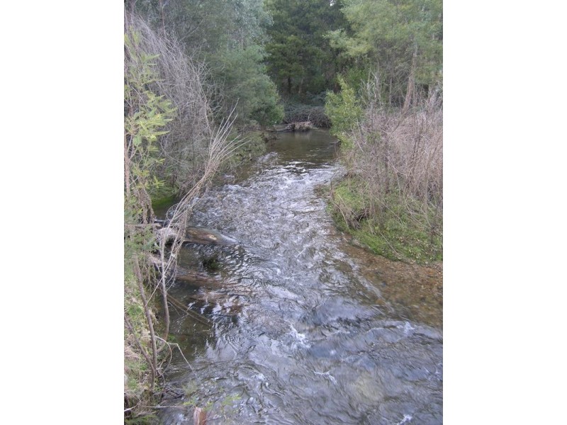 780 Morses Creek Road, Wandiligong VIC 3744