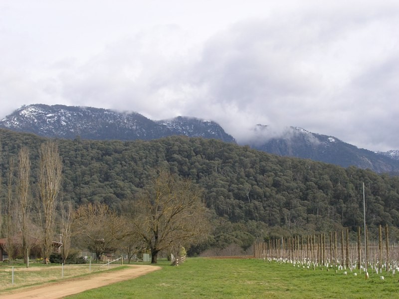 450 Buckland Valley Road, Buckland VIC 3740