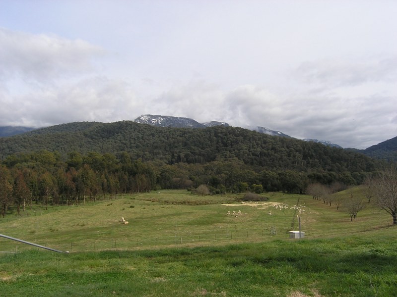 450 Buckland Valley Road, Buckland VIC 3740