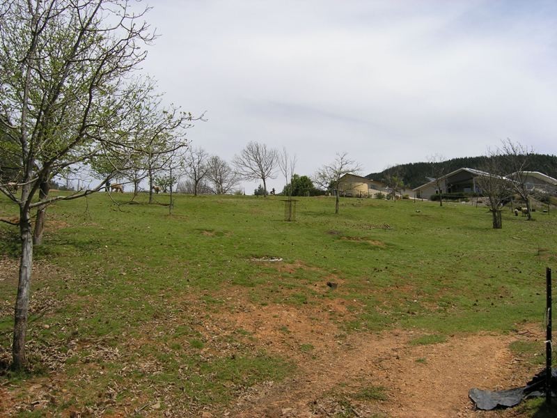 Lot 2, Porcellatos Lane, Bright VIC 3741