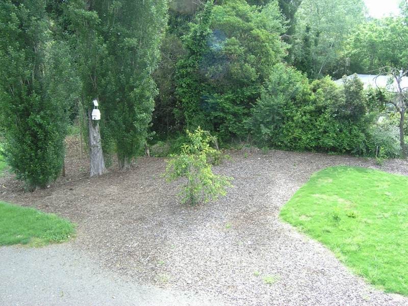 50 Williams Road, Wandiligong VIC 3744