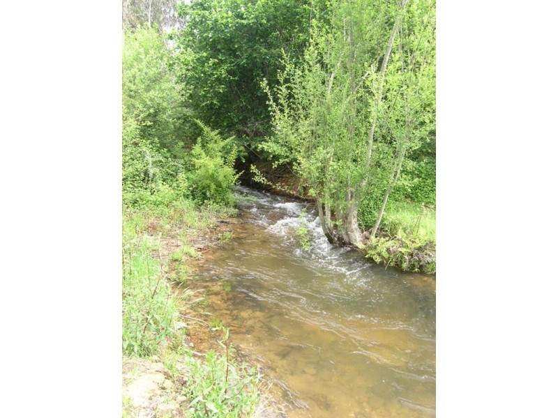 50 Williams Road, Wandiligong VIC 3744