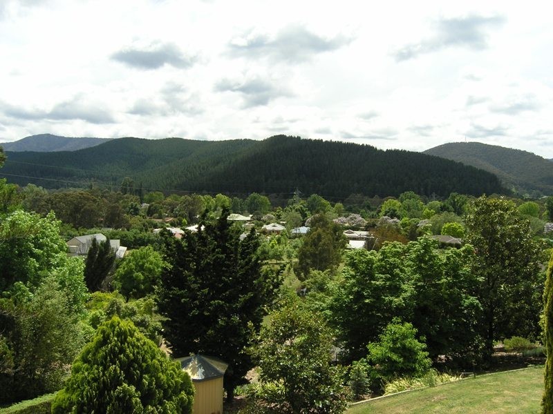 11 Porcellatos Lane, Bright VIC 3741