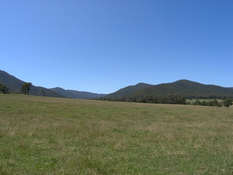 Devils Creek Road, Buckland VIC 3740