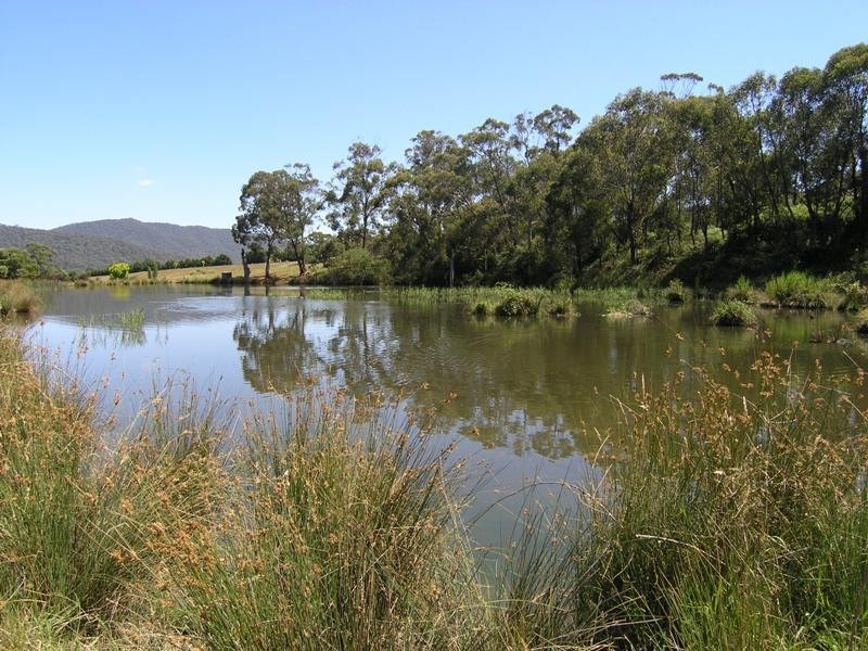 Devils Creek Road, Buckland VIC 3740