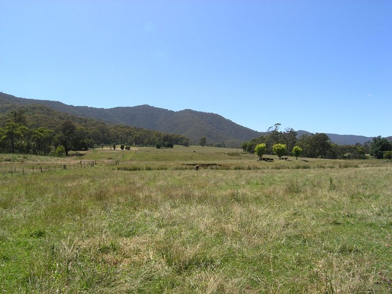 Devils Creek Road, Buckland VIC 3740