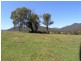Devils Creek Road, Buckland VIC 3740