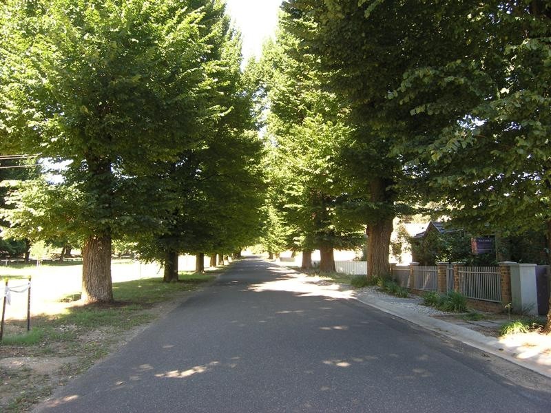 Lot 19,  Kilfinan Crescent, Bright VIC 3741