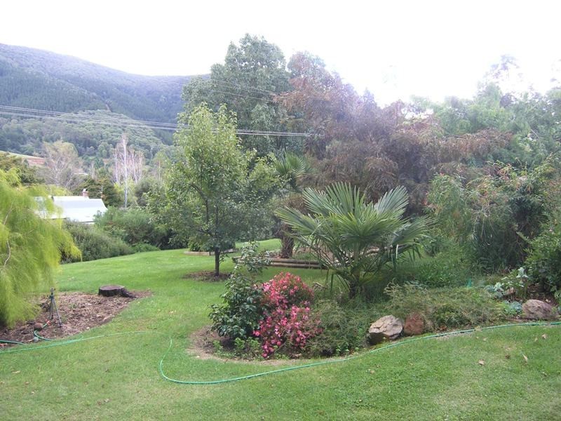 Lot B1, School Road, Wandiligong VIC 3744