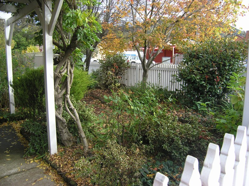 1/8 Wills St, Bright VIC 3741