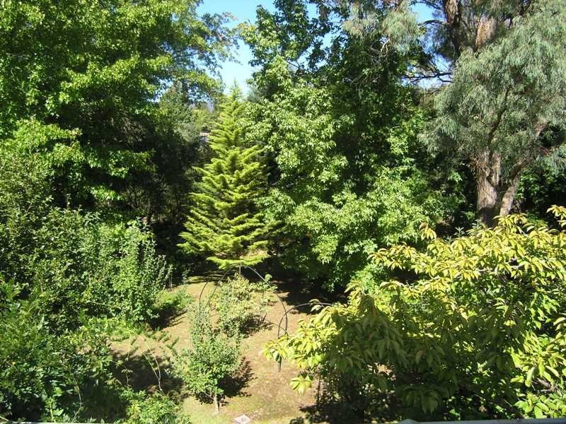 12 Showers Avenue, Bright VIC 3741