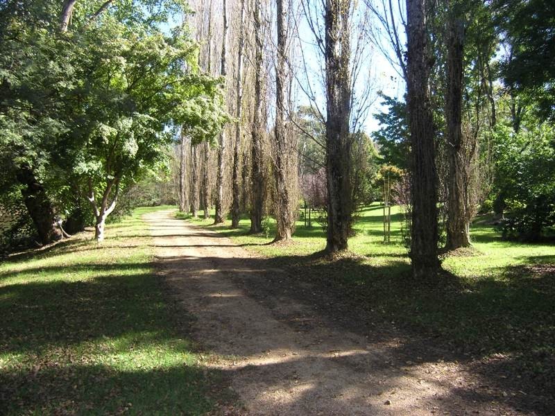 12 Showers Avenue, Bright VIC 3741