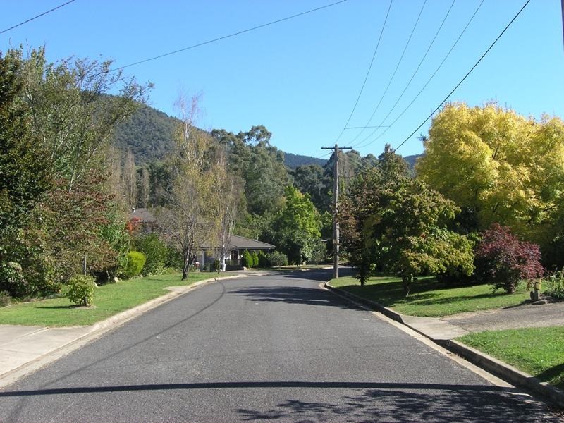 12 Showers Avenue, Bright VIC 3741