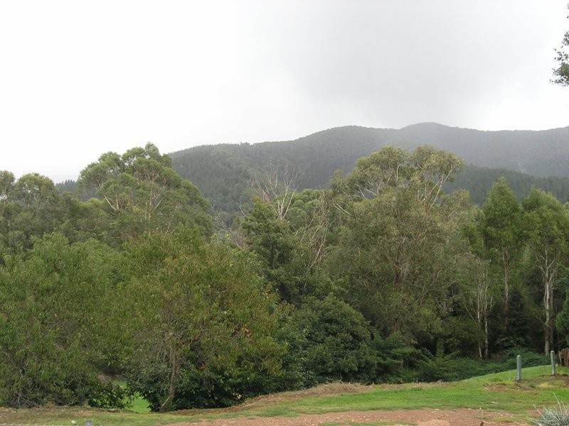 522 Morses Creek Road, Wandiligong VIC 3744