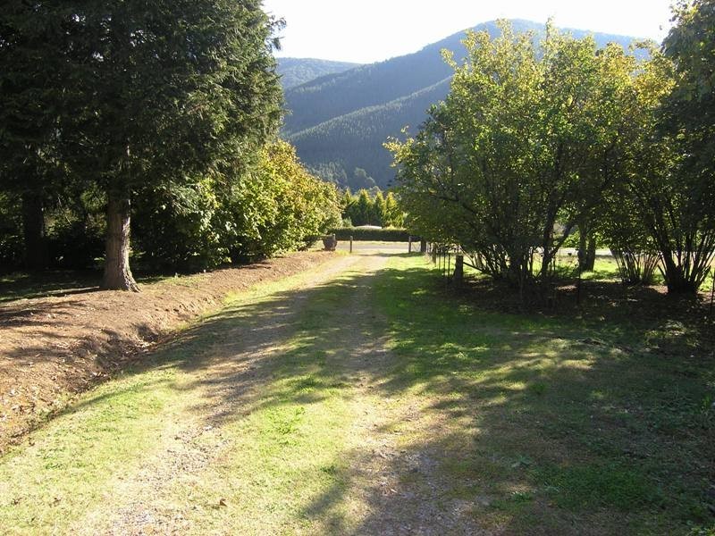 27 School Road, Wandiligong VIC 3744