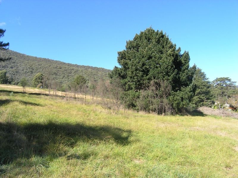 Lot 1,  School Road, Wandiligong VIC 3744