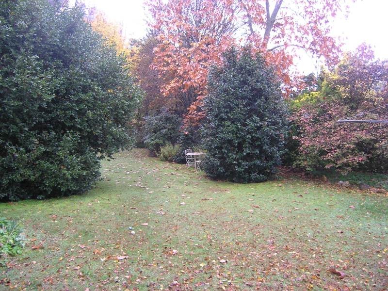 77 Gavan Street, Bright VIC 3741