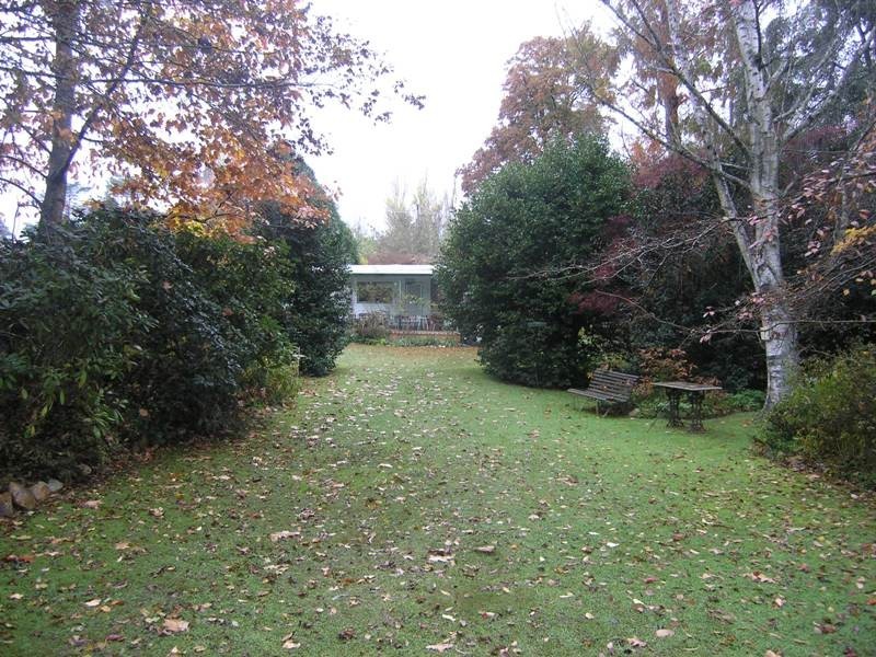 77 Gavan Street, Bright VIC 3741