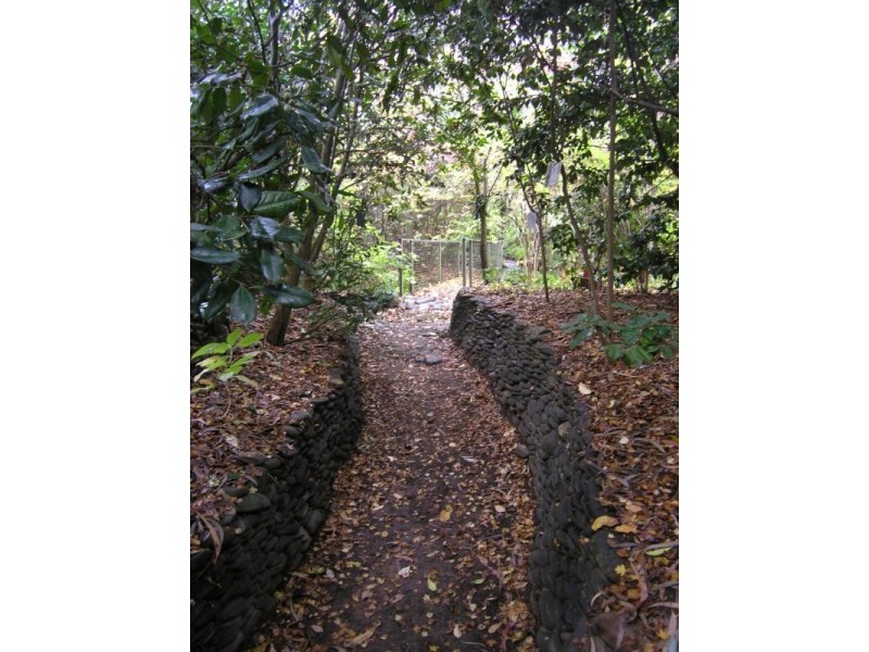 77 Gavan Street, Bright VIC 3741