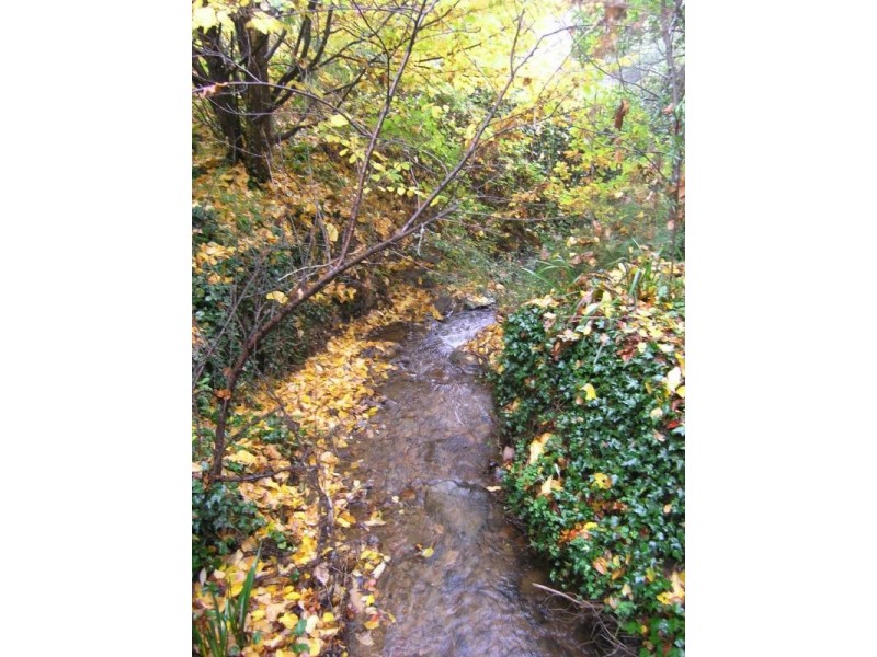 77 Gavan Street, Bright VIC 3741