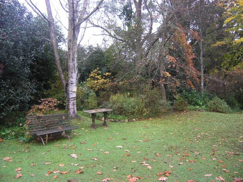 77 Gavan Street, Bright VIC 3741