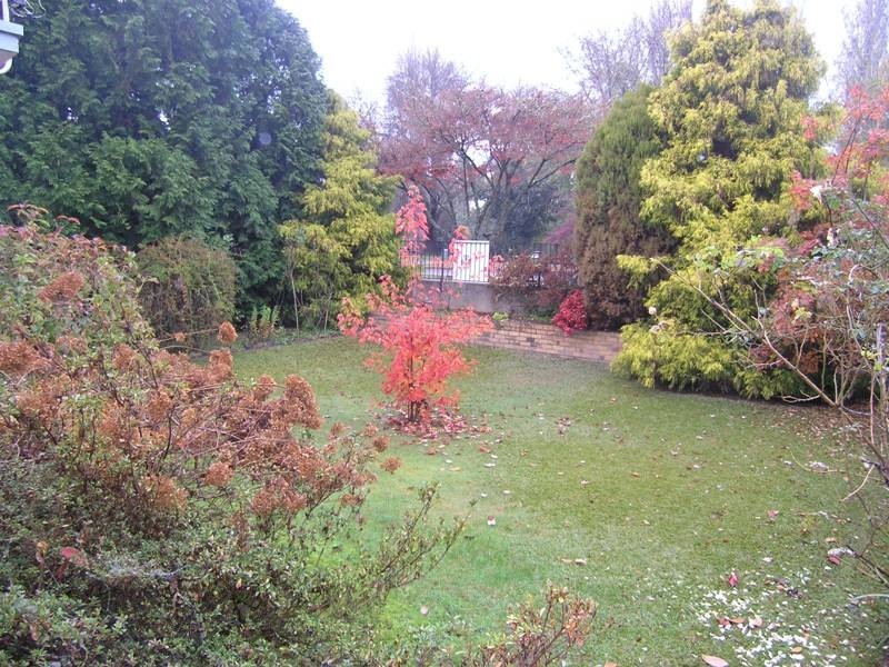 77 Gavan Street, Bright VIC 3741