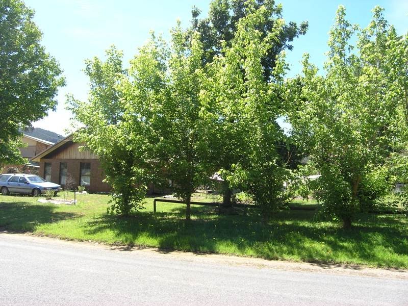 6 & 8 Wallace Drive, Buckland VIC 3740