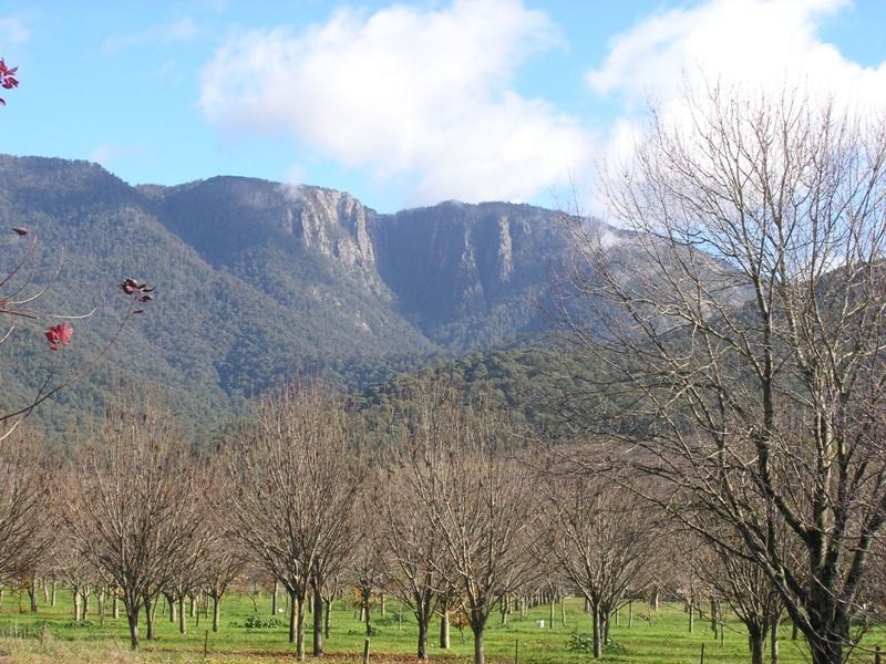 329 Buckland Valley Road, Buckland VIC 3740