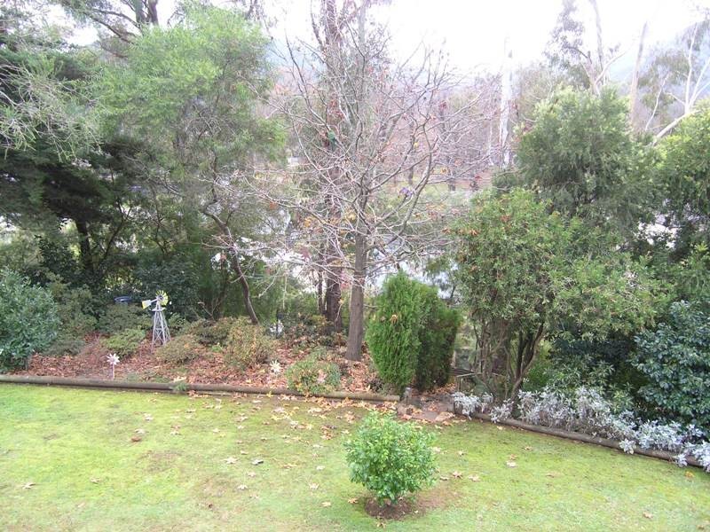 6 Cindy Court, Bright VIC 3741