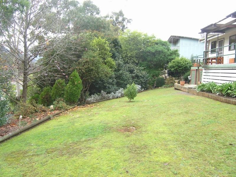 6 Cindy Court, Bright VIC 3741