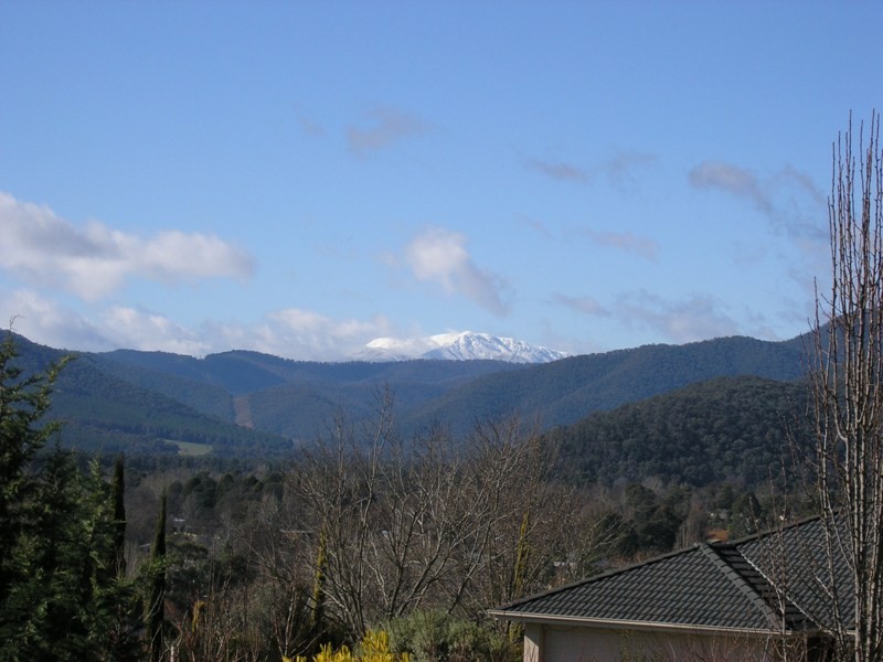 15 Walnut Grove, Bright VIC 3741