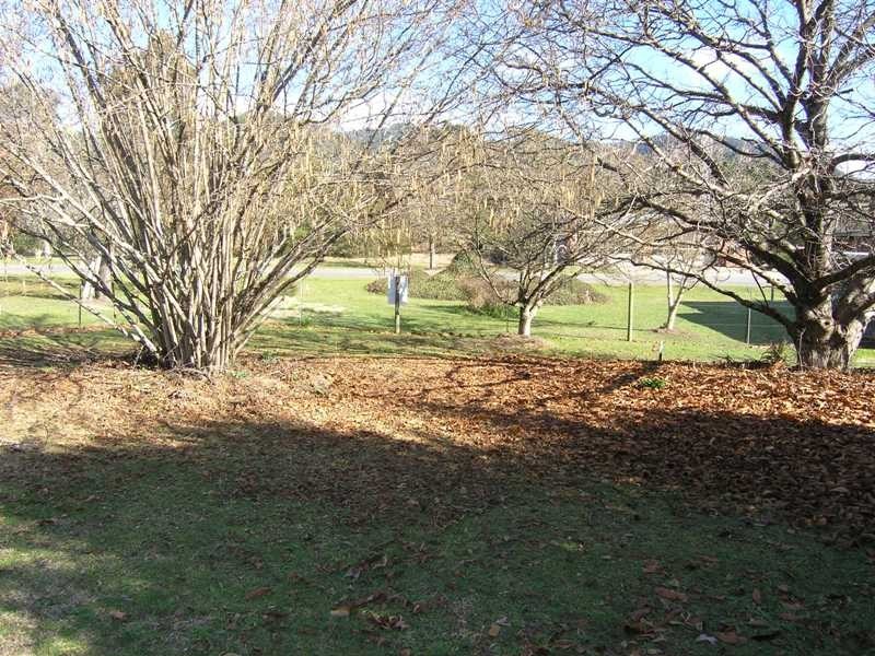 Lot 3,  Churchill Avenue, Bright VIC 3741