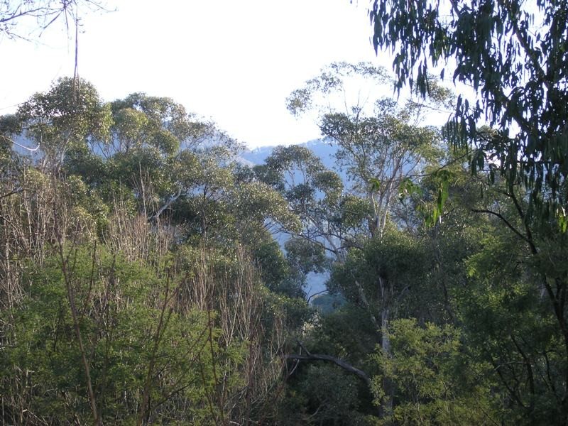 23 Wallace Drive, Buckland VIC 3740