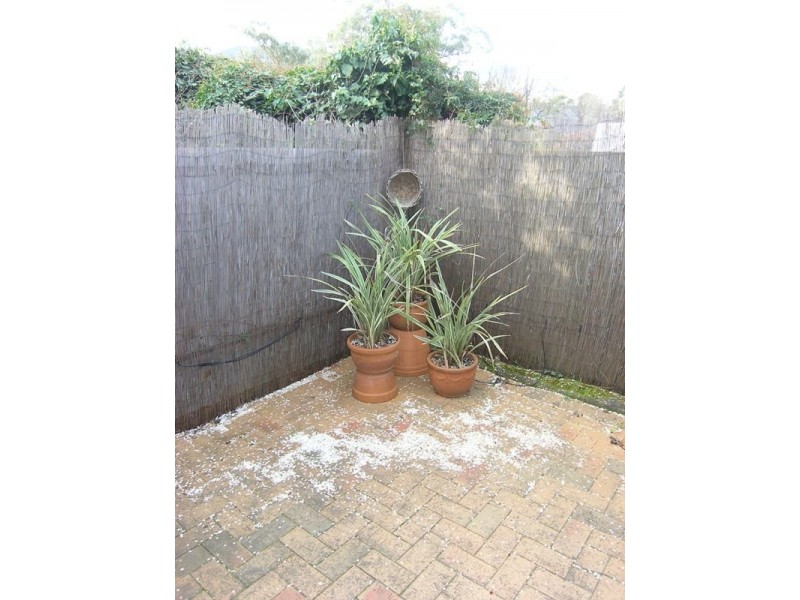 6/10 Wills Street, Bright VIC 3741