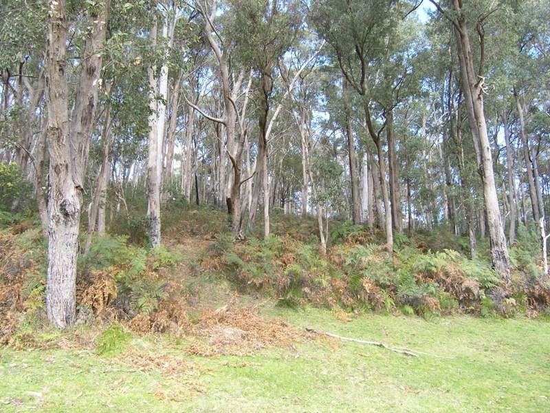 20 Pick & Shovel Rise, Harrietville VIC 3741