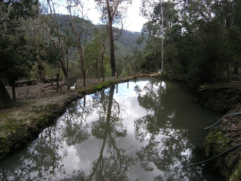 20 Pick & Shovel Rise, Harrietville VIC 3741