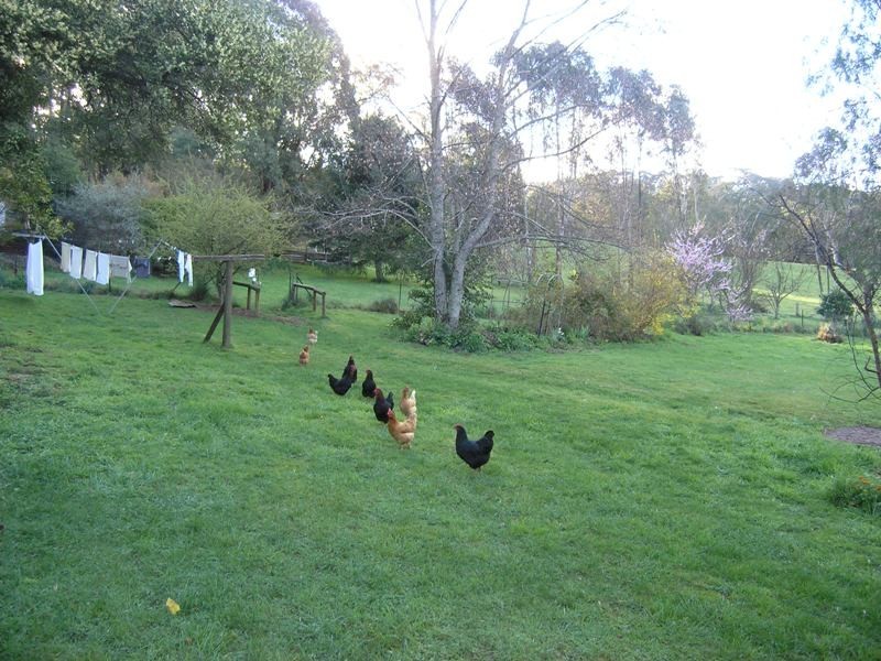 1 Dunphys Creek Road, Buckland VIC 3740