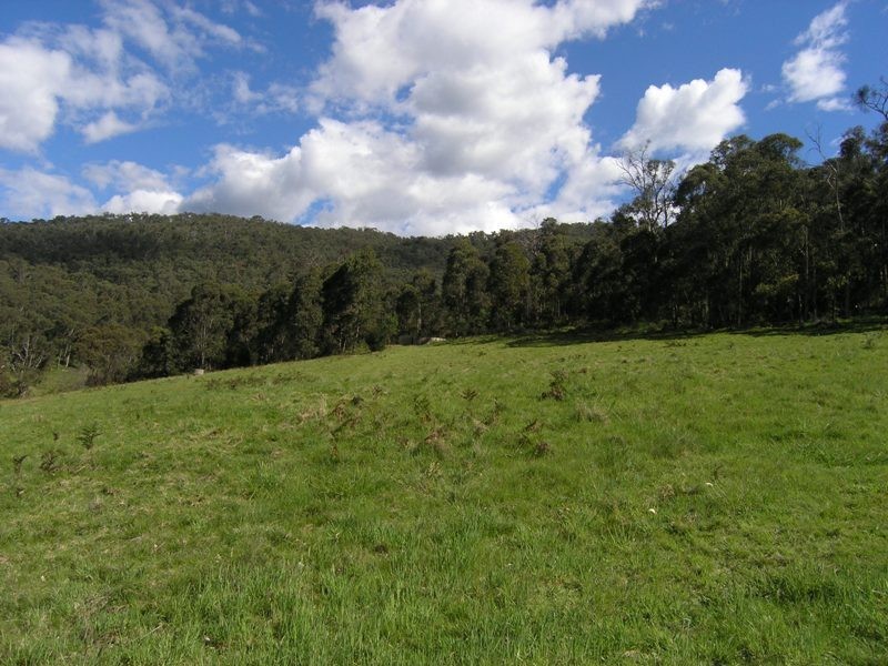 Lot 1,  Lisbon Gully Road, Bright VIC 3741