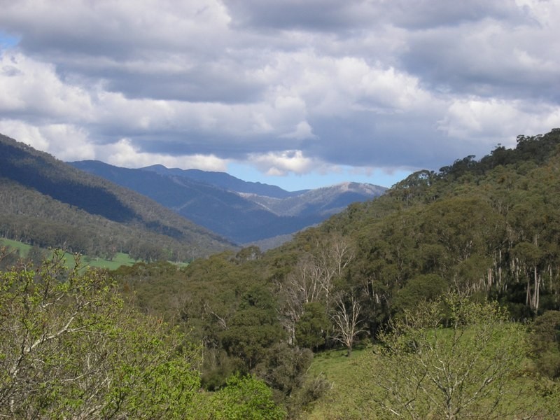 Lot 1,  Lisbon Gully Road, Bright VIC 3741