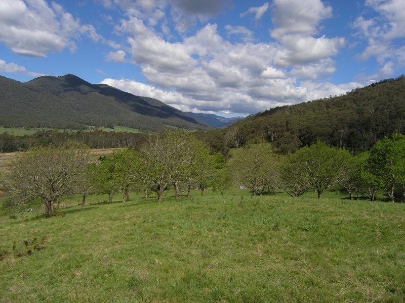 Lot 1,  Lisbon Gully Road, Bright VIC 3741