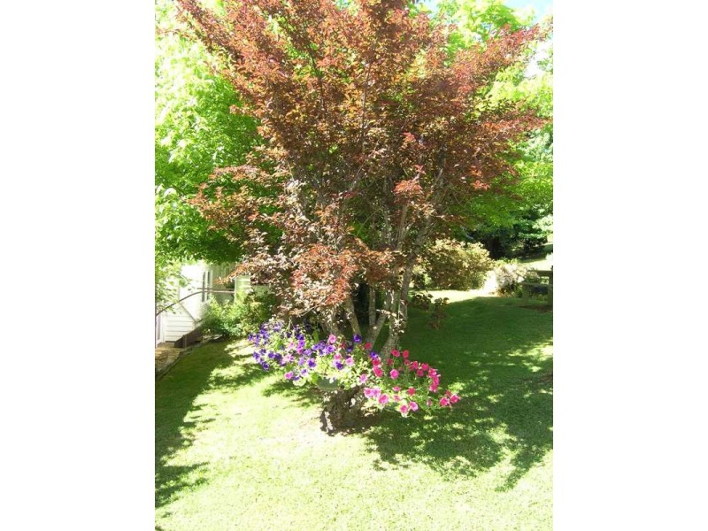 25 Bakers Gully Road, Bright VIC 3741