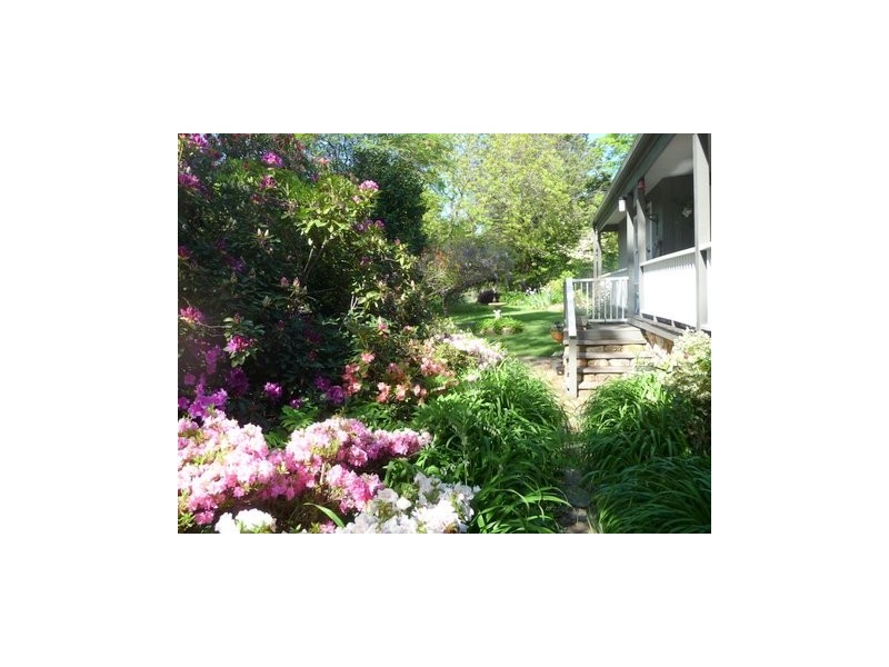 8 Tyntynder Lane, Bright VIC 3741