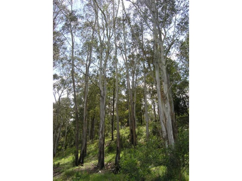 71 Feathertop Track, Harrietville VIC 3741