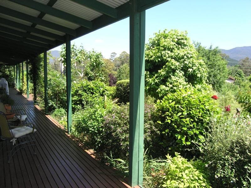 21 Lumley Drive, Bright VIC 3741