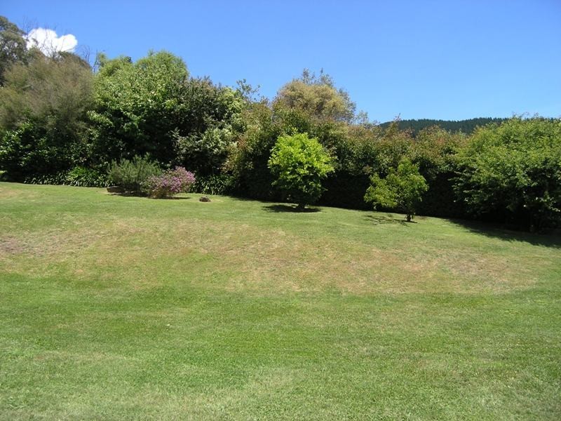 25 Walkers Lane, Bright VIC 3741