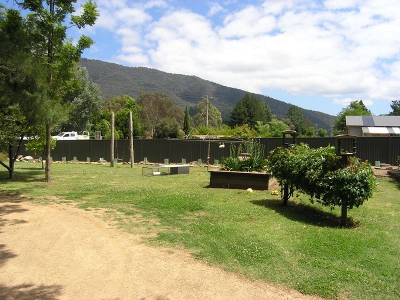 943 Great Alpine Road, Freeburgh VIC 3741