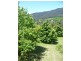42 White Star Road, Wandiligong VIC 3744