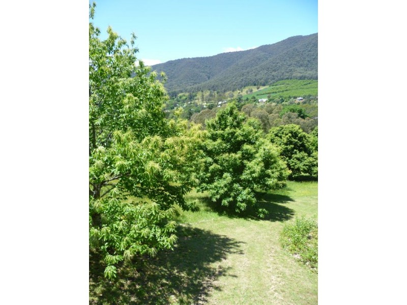 42 White Star Road, Wandiligong VIC 3744