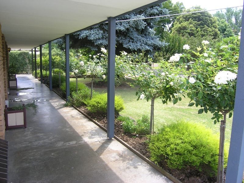 52 Gavan Street, Bright VIC 3741